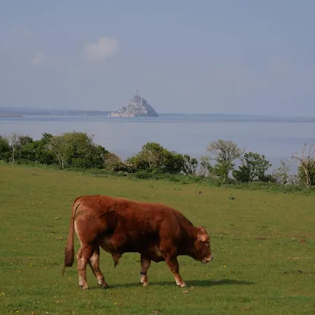 Vue Mt-st-michel, Elegance, Calme Et Baby-foot Bonzini *